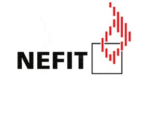 Nefit Logo